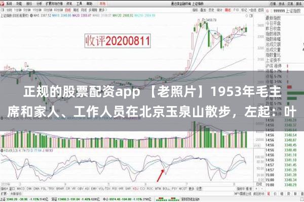 正规的股票配资app 【老照片】1953年毛主席和家人、工作人员在北京玉泉山散步，左起：叶