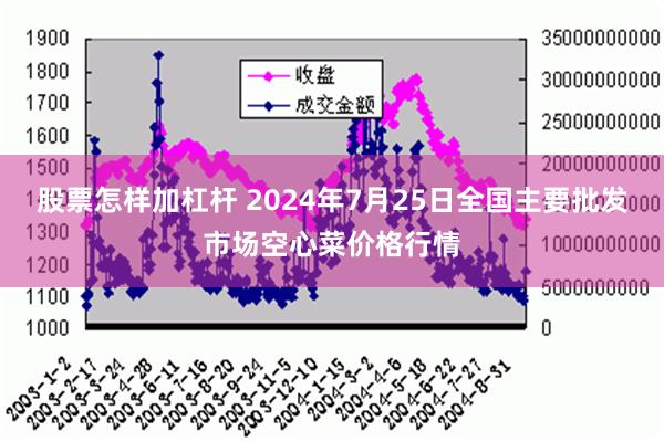 股票怎样加杠杆 2024年7月25日全国主要批发市场空心菜价格行情