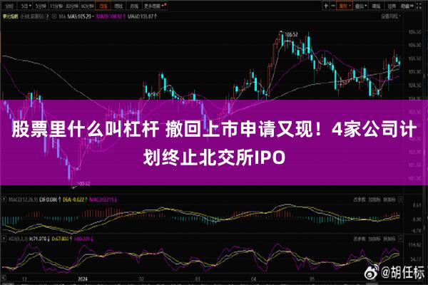 股票里什么叫杠杆 撤回上市申请又现！4家公司计划终止北交所IPO