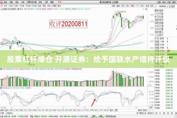 股票杠杆爆仓 开源证券：给予国联水产增持评级