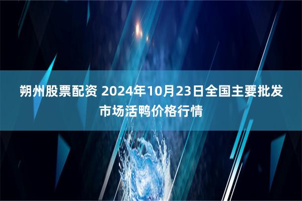 朔州股票配资 2024年10月23日全国主要批发市场活鸭价格行情