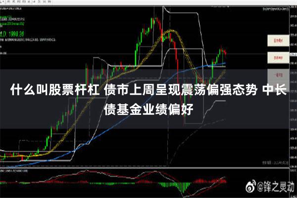 什么叫股票杆杠 债市上周呈现震荡偏强态势 中长债基金业绩偏好