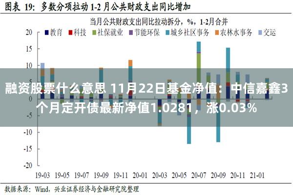 融资股票什么意思 11月22日基金净值：中信嘉鑫3个月定开债最新净值1.0281，涨0.03%