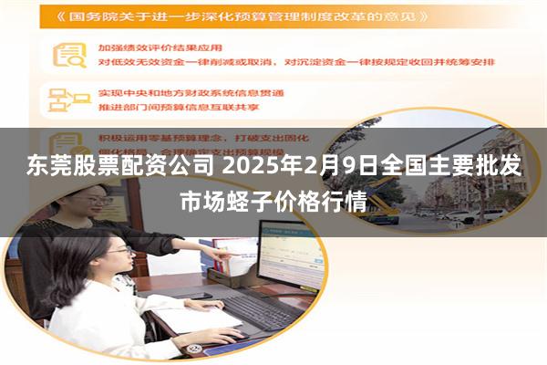 东莞股票配资公司 2025年2月9日全国主要批发市场蛏子价格行情